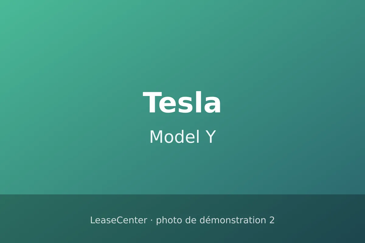Tesla Model Y (2/5)