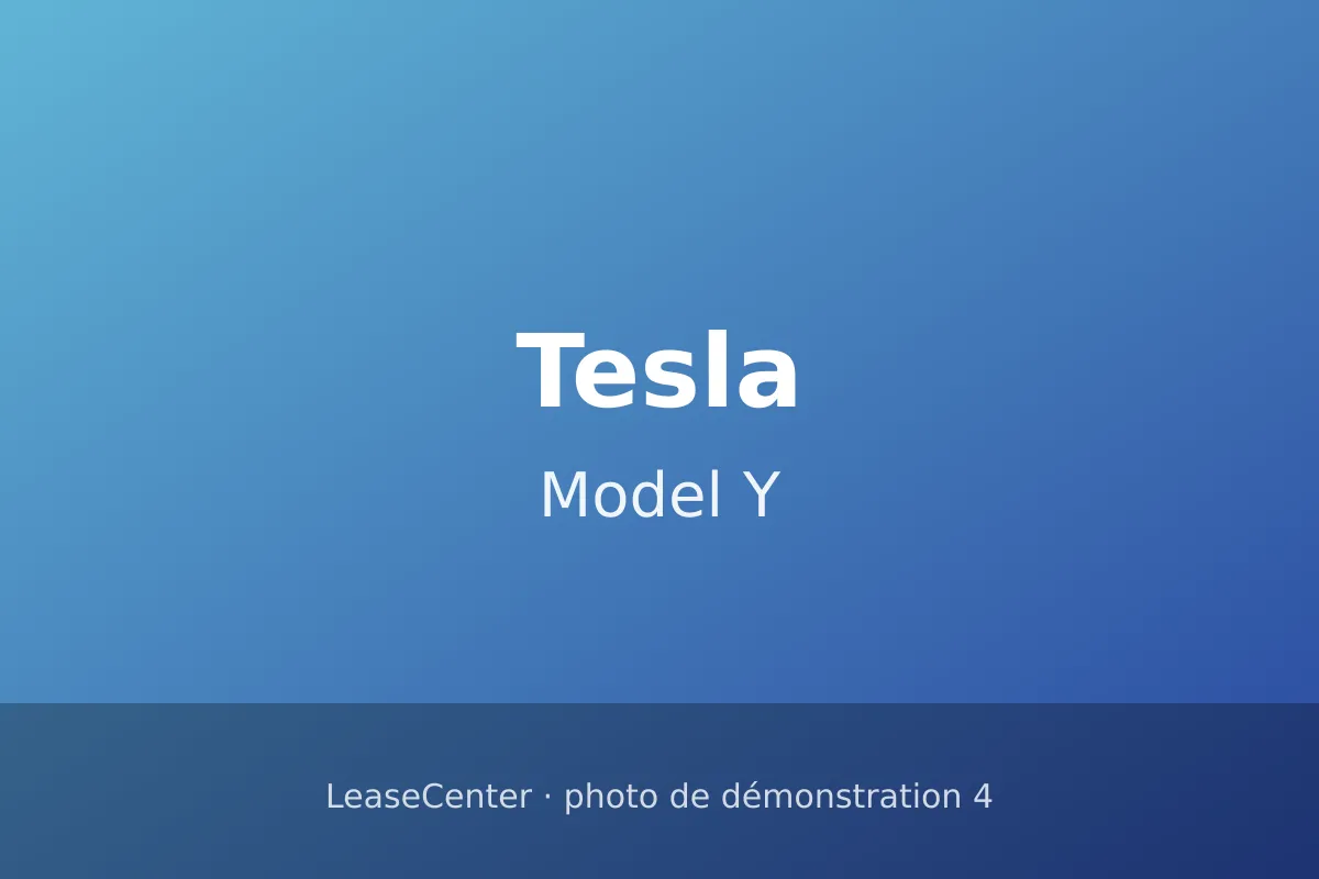 Tesla Model Y (4/5)